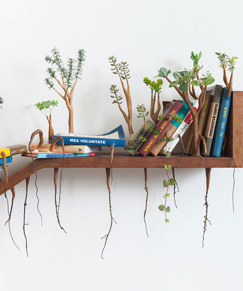 camille kachani sprouts wooden limbs and leaves on everyday household items