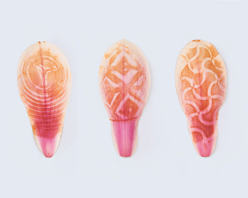 famous footwear embosses delicate magnolia petals with branded 'sole impressions'