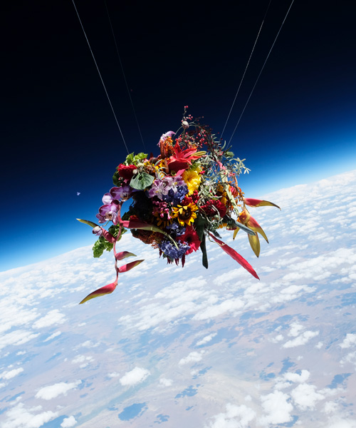 azuma makoto launches flowers into the stratosphere and documents the journey