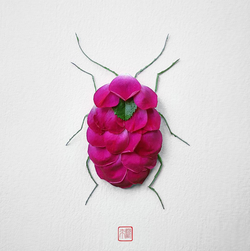 raku inoue arranges wildlife of natura insects from flowers