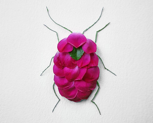 raku inoue arranges wildlife of natura insects from flowers