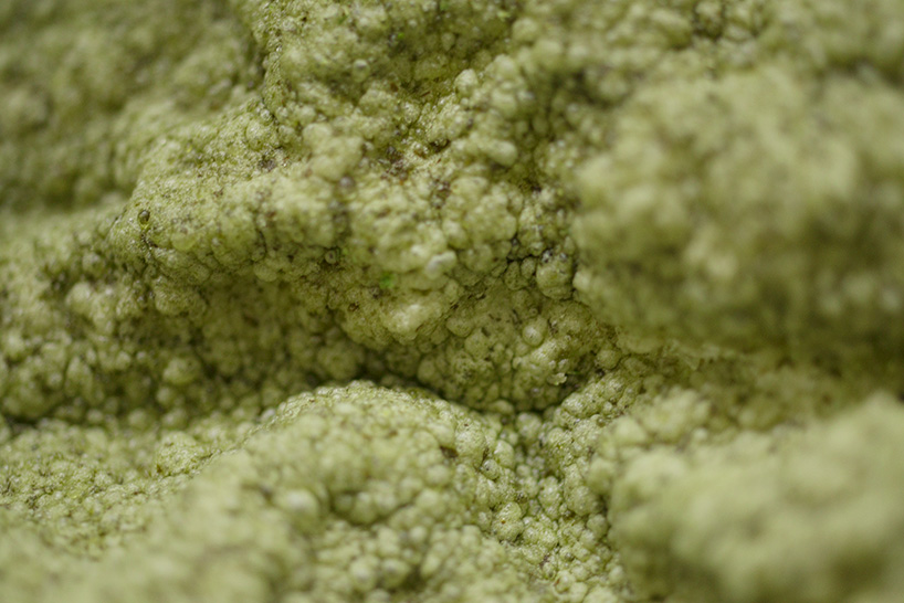 SPACE10 algae dome
