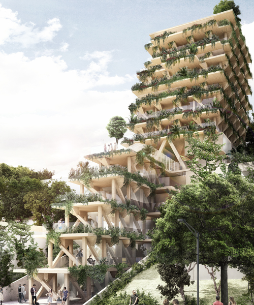 amata + triptyque plan timber building in são paulo that absorbs carbon dioxide