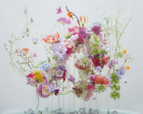 anne ten donkelaar captures delicate flower arrangement submerged underwater