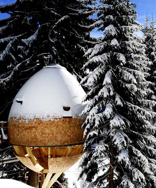 claudio beltrame's egg-shaped treehouse offers panoramic views of the italian alps