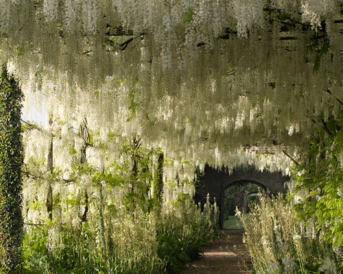 the botanical sanctuary of a medieval mansion: the serene + stately petworth gardens
