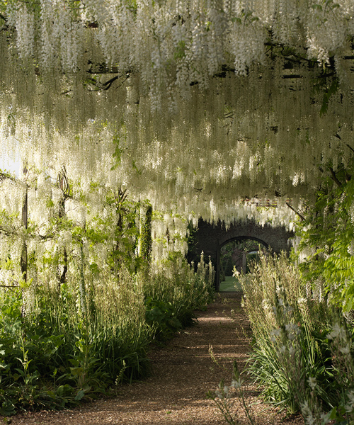the botanical sanctuary of a medieval mansion: the serene + stately petworth gardens