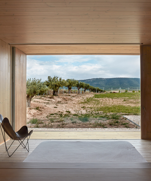 ramón esteve's cottage in the vineyard frames views of the spanish landscape