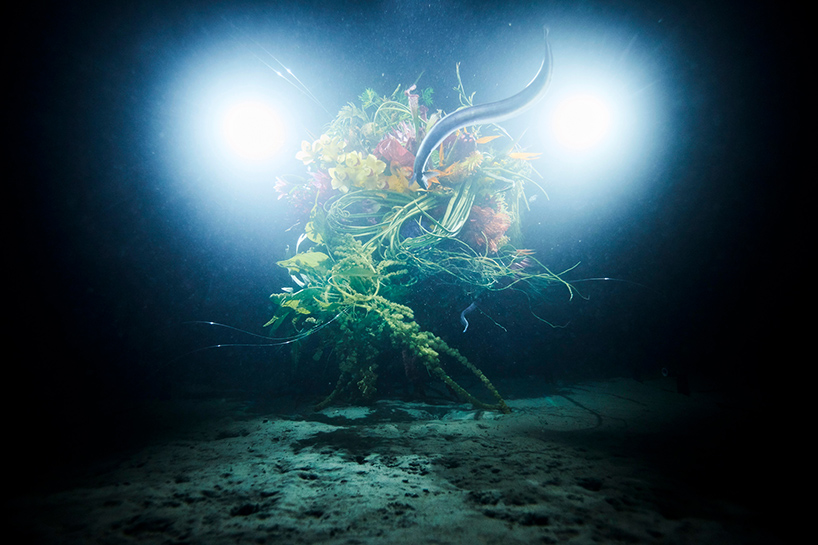 azuma makoto sephirothic flower