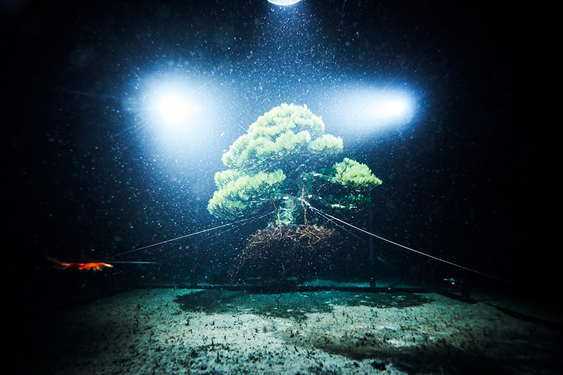 azuma makoto sephirothic flower