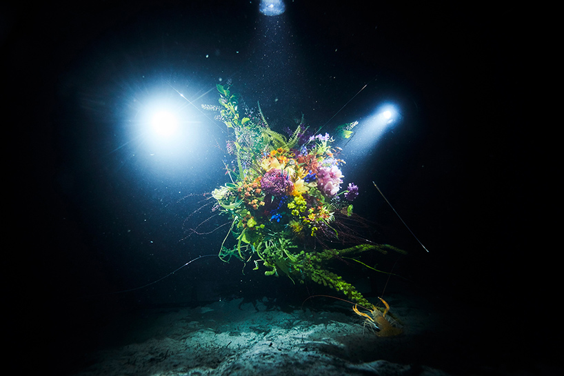 azuma makoto deep sea