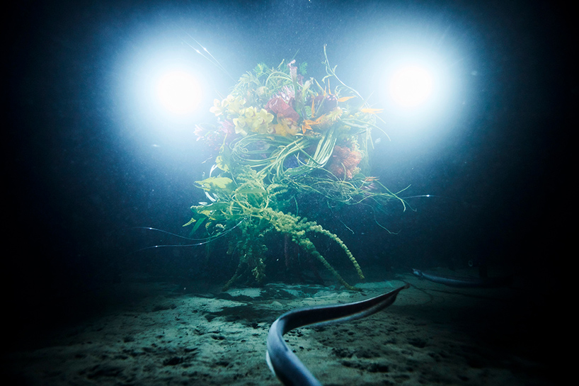 azuma makoto sephirothic flower