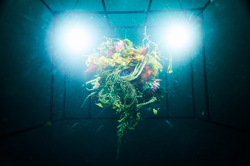 azuma makoto sephirothic flower