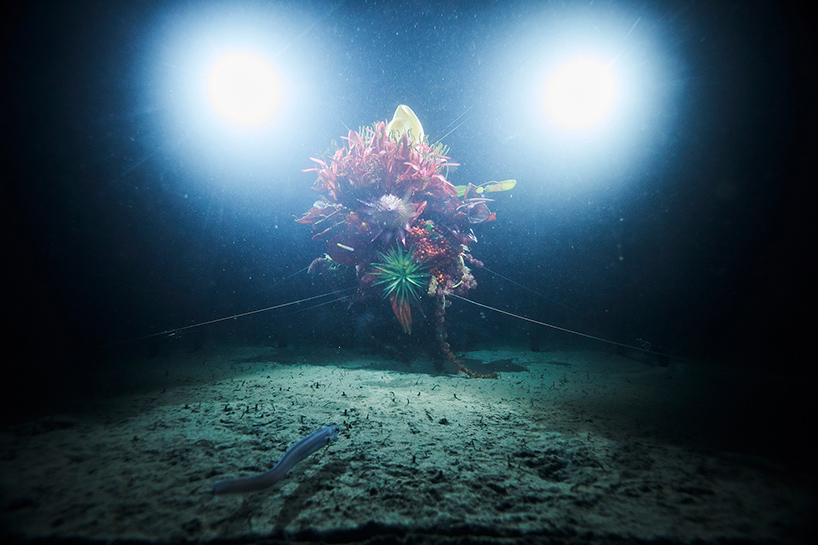 azuma makoto sephirothic flower