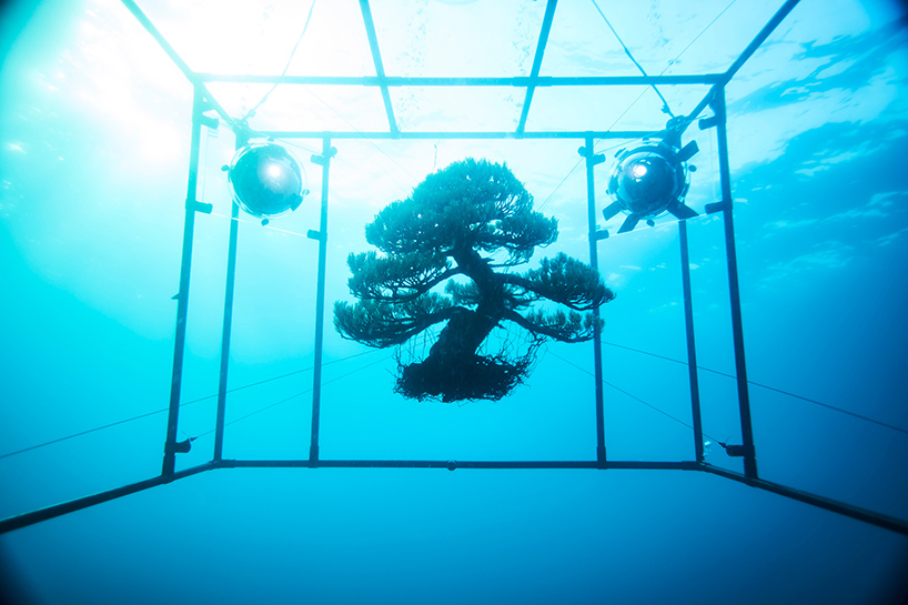 azuma makoto sephirothic flower