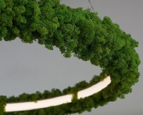 oleant designs an environmentally friendly luminaire covered with icelandic moss