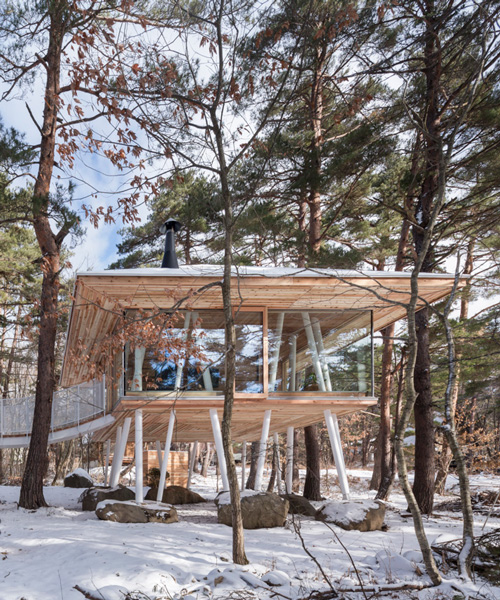 life style koubou integrates 'one year project' into japan's natural woodland habitat