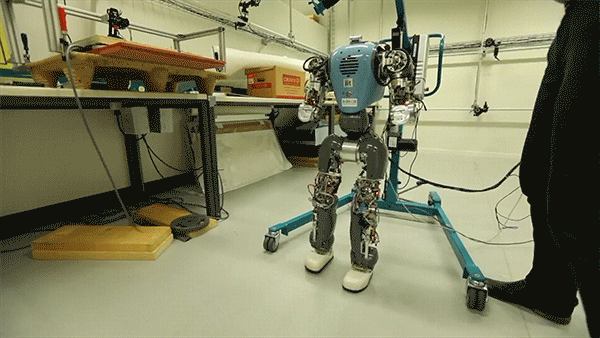EPFL and ADVR engineers develop robots that walk naturally, like humans