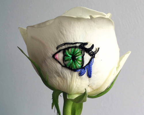 sophie king doodles messages with thread on delicate roses