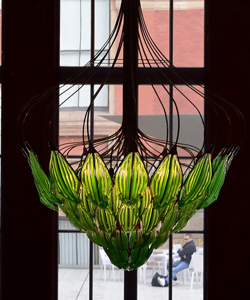julian melchiorri crafts bionic chandelier equipped with living microalgae