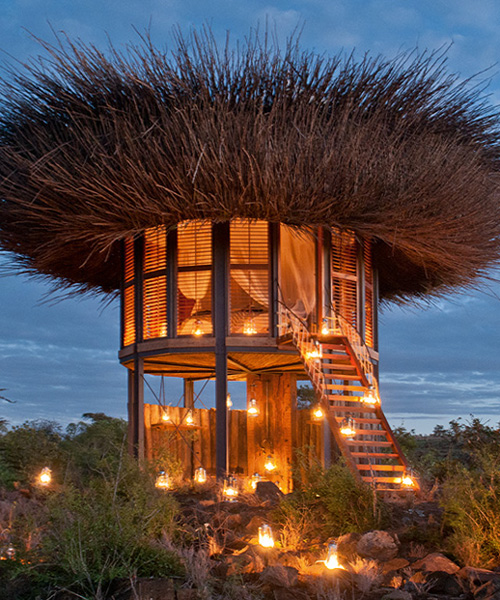 giant bird's nest in kenya lets safari guests sleep luxuriously above the trees