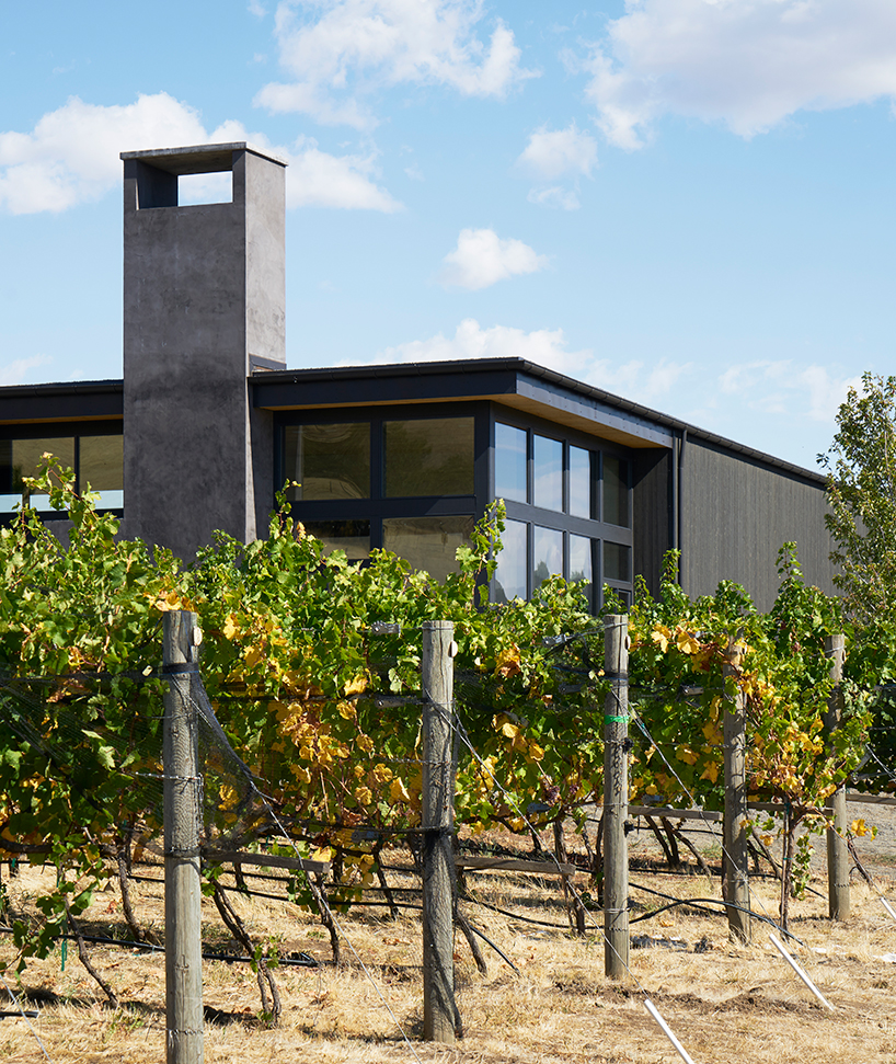 seattle-based firm, goCstudio, embraces natural landscape in the design for a local winery