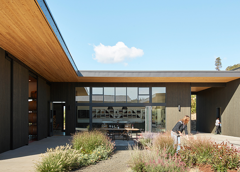 seattle-based firm, goCstudio, embraces natural landscape in the design for a local winery