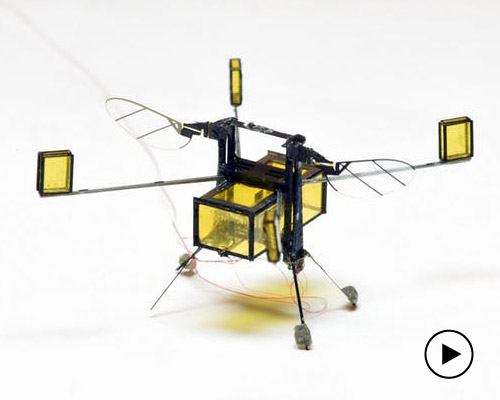harvard's robobee microrobot has two wing-flapping speeds in air and out of water