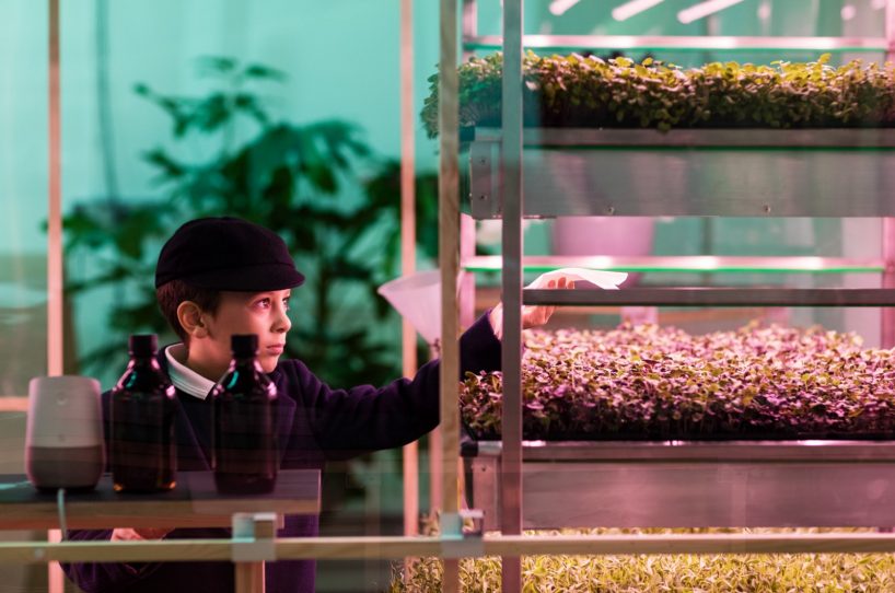 ikea space 10 indoor farm