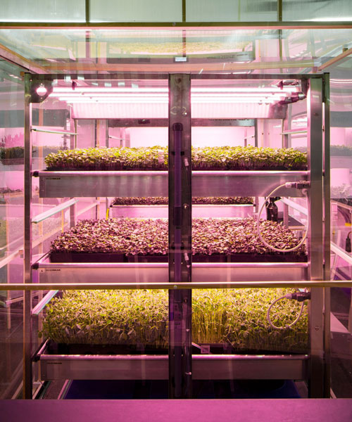 SPACE10, IKEA's innovation lab, launches indoor farm