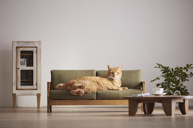 mini furniture for cats okawa city japan designboom