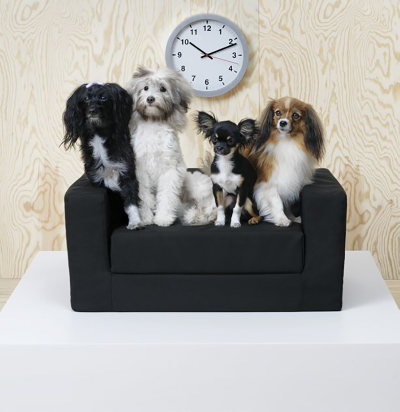 Ikea dog outlet cushion