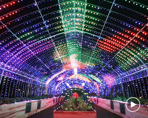 PARTY develops psychedelic, touch-sensitive greenhouse installation in tokyo