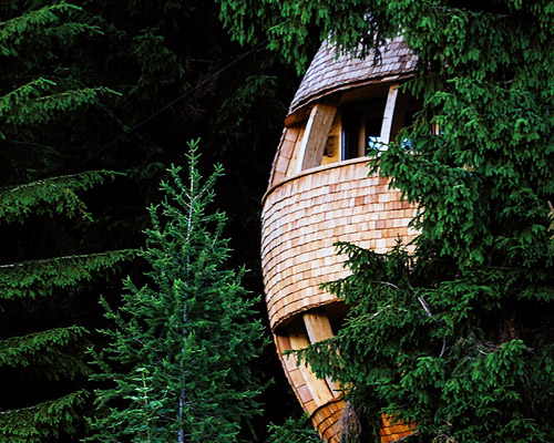claudio beltrame's egg-shaped treehouse offers panoramic views of the italian alps