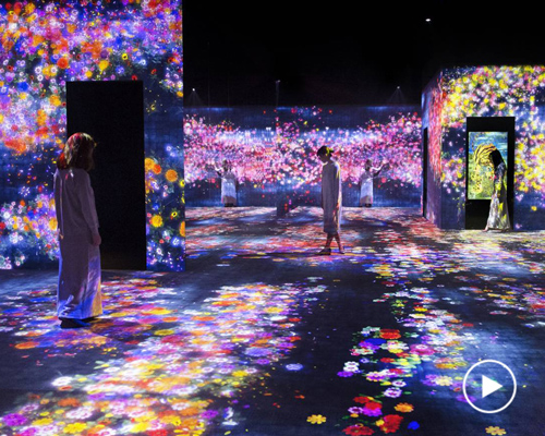 teamlab magnifies the lifecycle of plants with 'living digital forest' installation in beijing