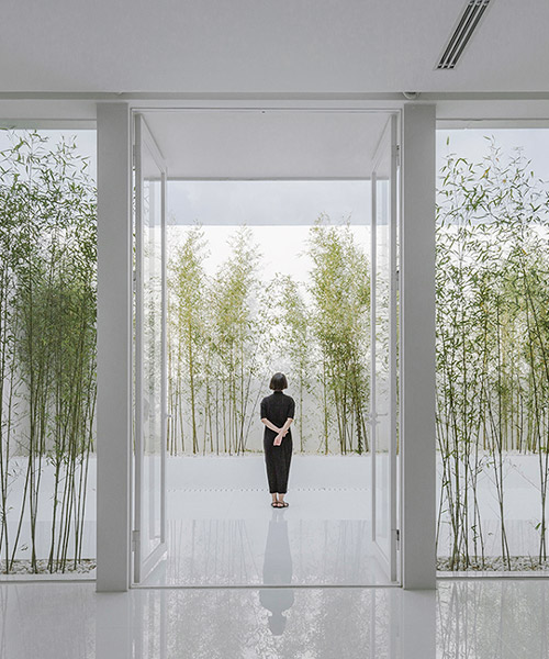 v studio's rooftop bamboo garden sits atop a busy chinese shopping mall