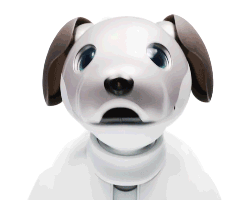 autonomous dog toy