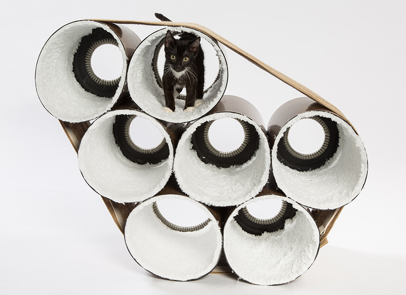architect designed cat shelters