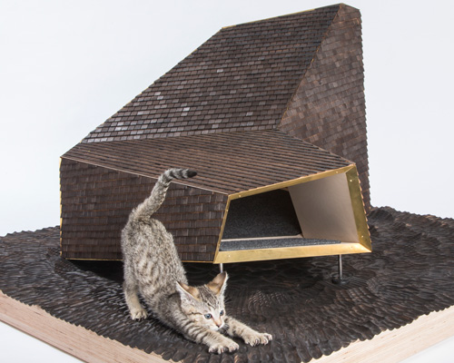 kitty living: LA's top architects design stylish shelters for cats