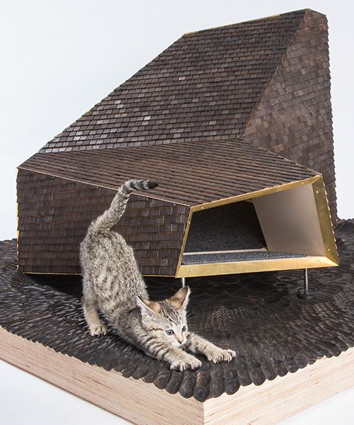 kitty living: LA's top architects design stylish shelters for cats