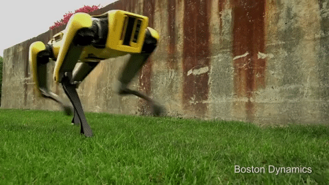 boston dynamics' spot mini is a clever robotic canine