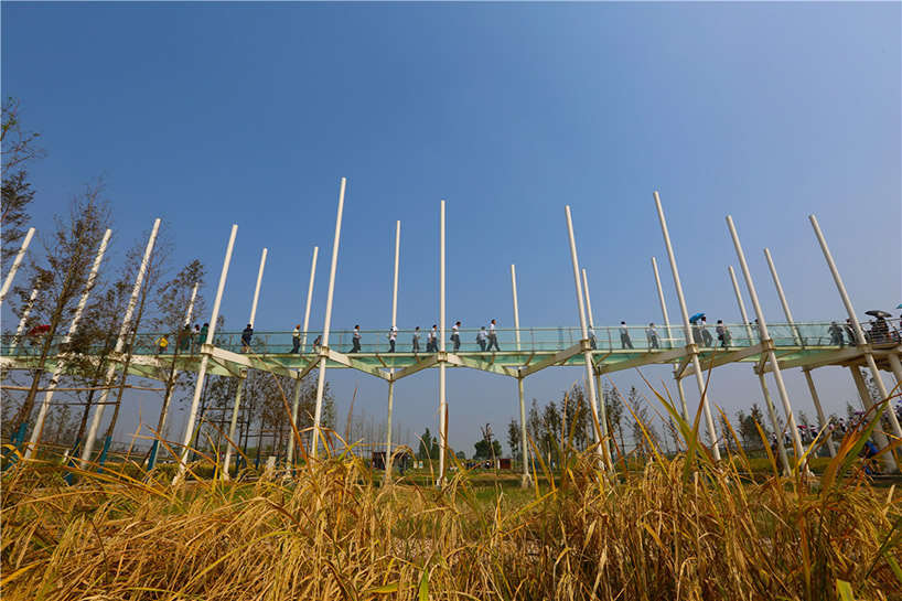chengtoushan archaeological park wins landscape of the year at WAF 2017 designboom