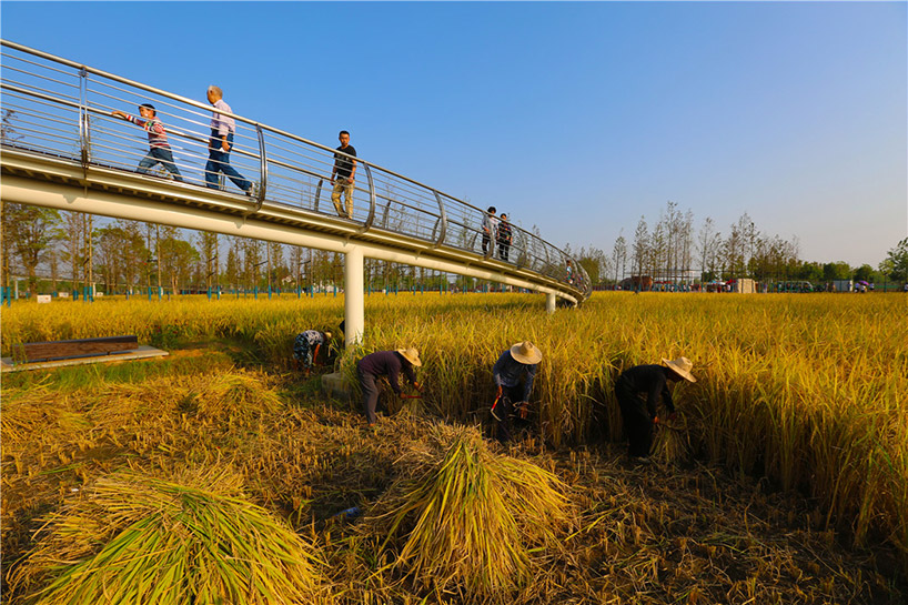 chengtoushan archaeological park wins landscape of the year at WAF 2017 designboom