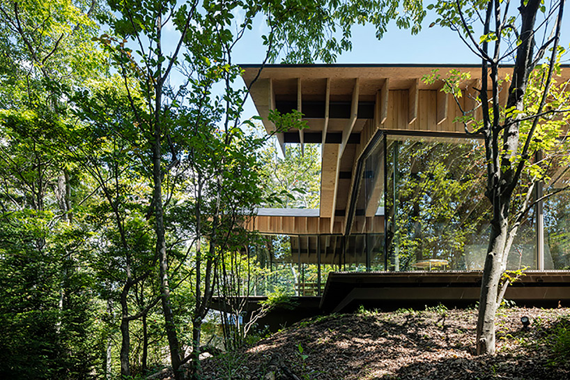 kengo kuma's guesthouse mimics the motion of local birds in flight