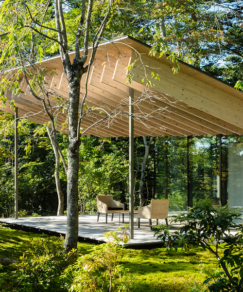 kengo kuma's mountainside guesthouse mimics the motion of local japanese birds in flight