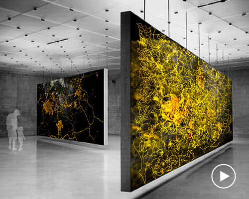 the institute for advanced architecture of catalonia proposes slime mould as architectural application