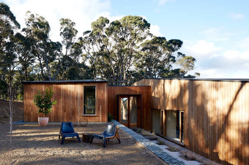 moloney architects' two halves house features two equally-sized timber pavilions