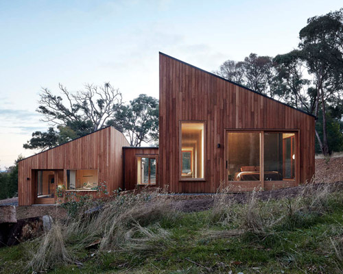 moloney architects' two halves house features two equally-sized timber pavilions