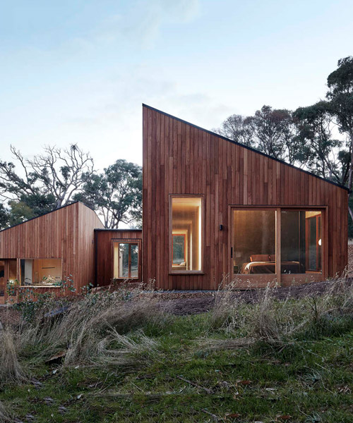 moloney architects' two halves house features two equally-sized timber pavilions