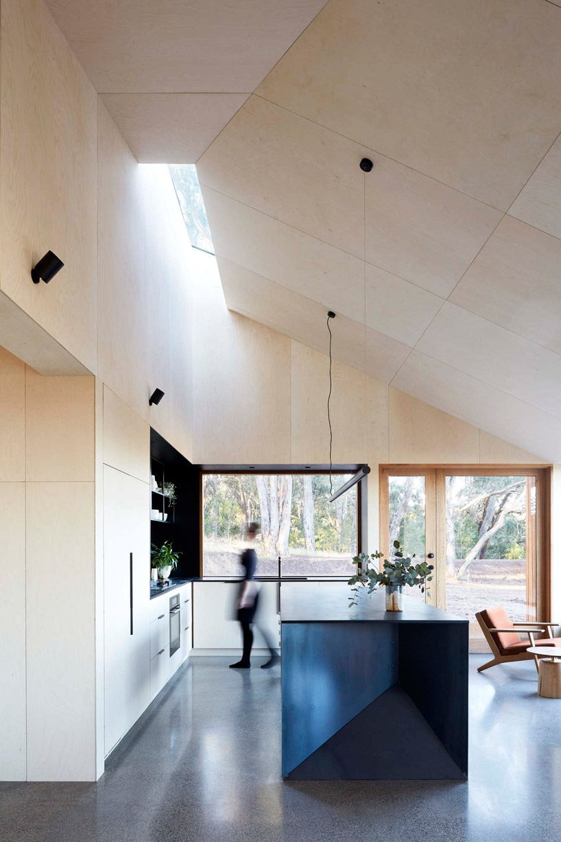 moloney architects' two halves house features two equally-sized timber pavilions